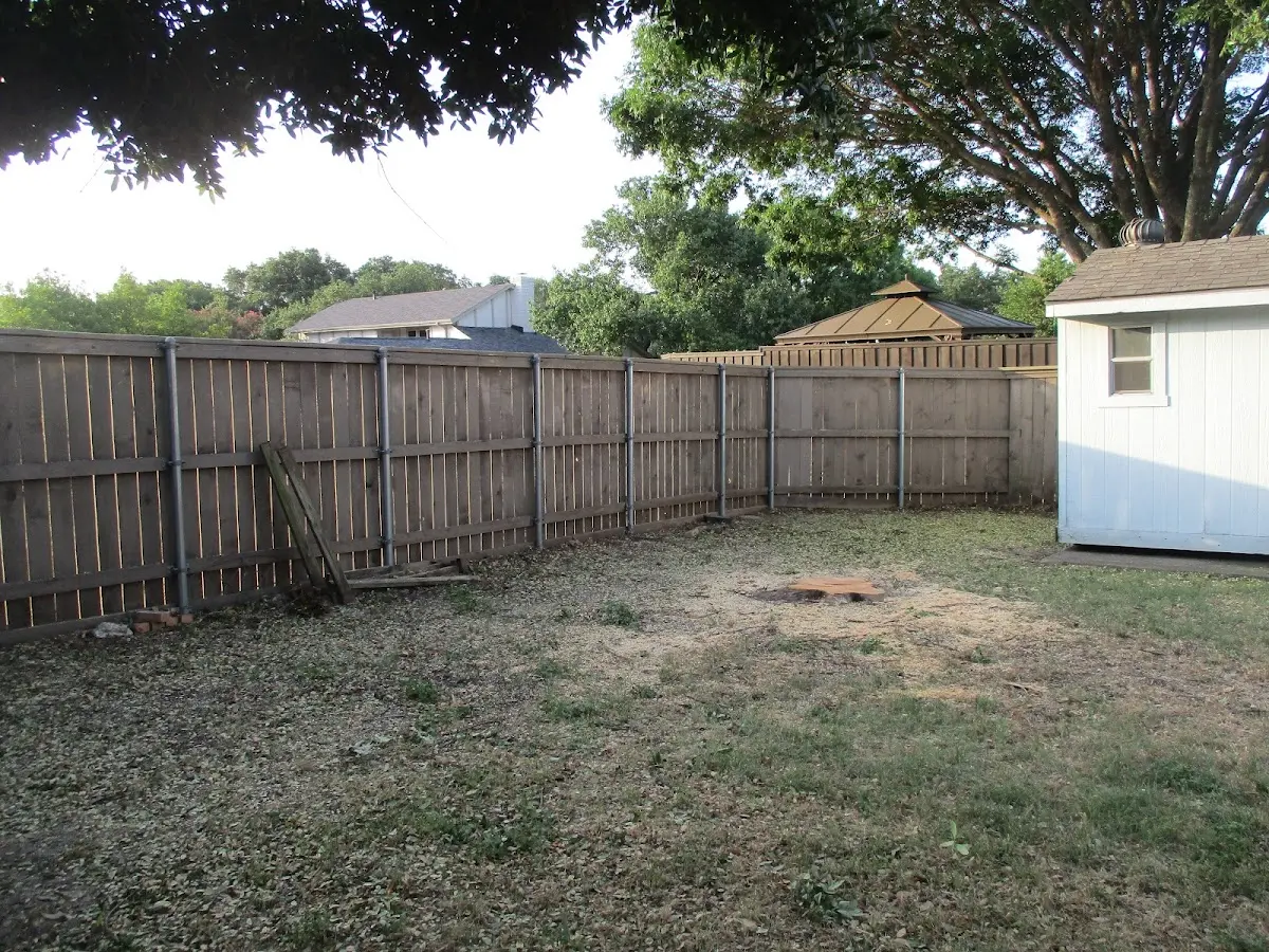 Cleared yard after professional tree removal in Essex